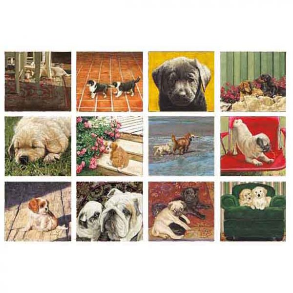 Legacy 2023 Calendar Puppies Calender Fits Wall Frame