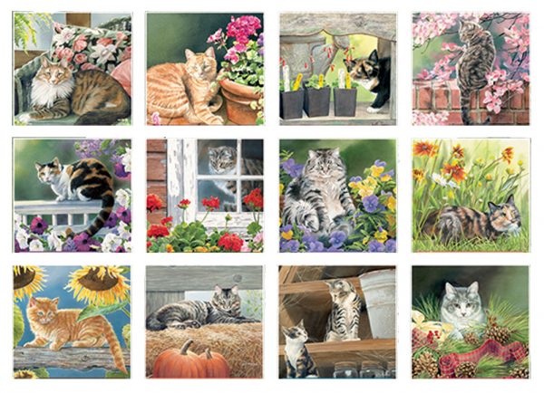 Lang 2023 Calendar Cats in the Country Calender Fits Wall Frame