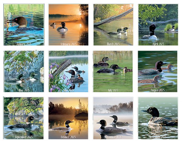 Lang 2023 Calendar Loons on the Lake Calender Fits Wall Frame