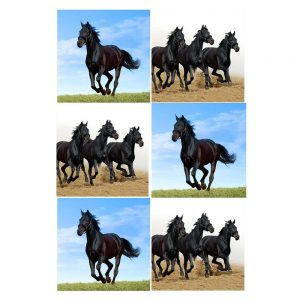Country Kitchen Glass Coasters Set of 6 Black Horses Dining