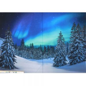 Patchwork Quilting Fabric Aurora Northern Lights Panel 80x110cm