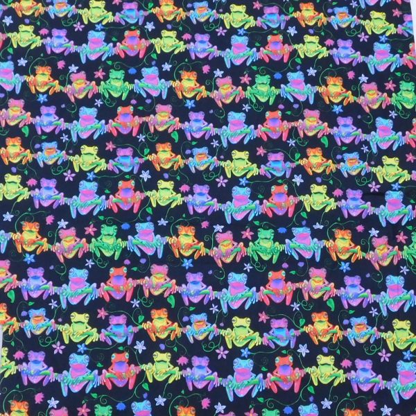 Quilting Patchwork Sewing Fabric Rainbow Frogs 50x55cm FQ