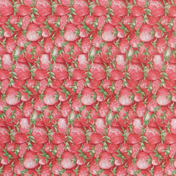 Quilting Patchwork Sewing Fabric Strawberry Garden 50x55cm FQ