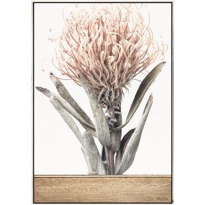 French Country Framed Canvas Print White Protea Honey 70x100cm