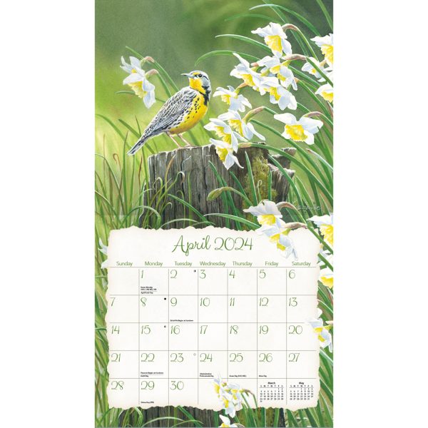 Lang 2024 Calendar Songbirds Calender Fits Wall Frame