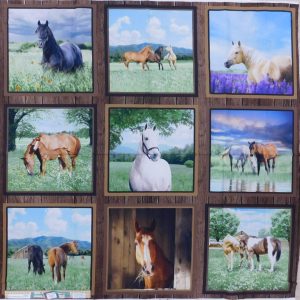 Patchwork Quilting Sewing Fabric Horse Life Panel 110x110cm