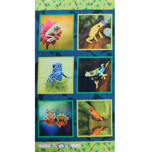 Patchwork Quilting Sewing Fabric Fab Frogs B Panel 59x110cm