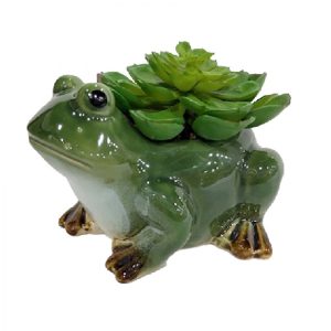 Country Plant or Pen Holder Ornament Frog Ceramic Tpa025