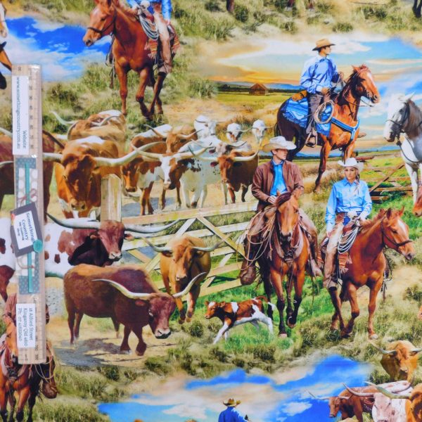 Quilting Patchwork Sewing Fabric Big Sky Country Horses 50x55cm FQ