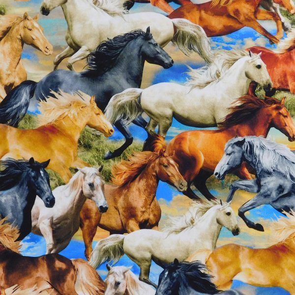 Quilting Patchwork Sewing Fabric Freedom Horses 50x55cm FQ