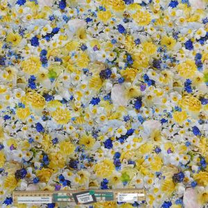 Patchwork Quilting Sewing Fabric Forget Me Not Yellow 50x55cm FQ