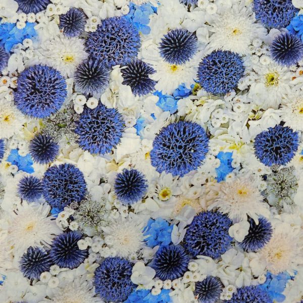 Patchwork Quilting Sewing Fabric Forget Me Not Blue 50x55cm FQ