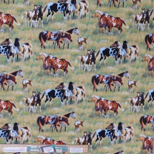 Patchwork Quilting Sewing Fabric Pasture Buddies Horses 50x55cm FQ