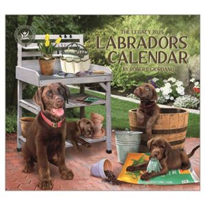 Legacy 2025 Calendar Labradors Calender Fits Wall Frame